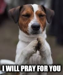 I WILL PRAY FOR YOU | made w/ Imgflip meme maker