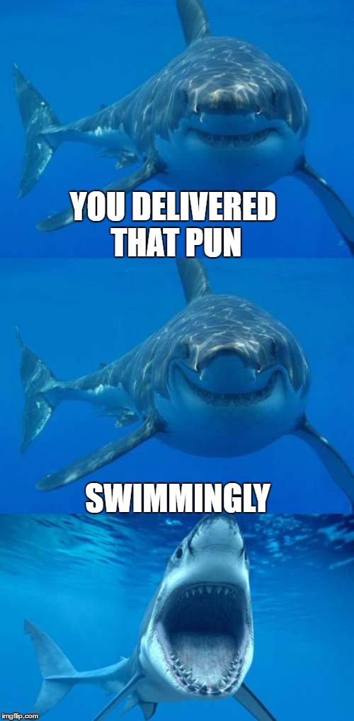 YOU DELIVERED THAT PUN SWIMMINGLY | made w/ Imgflip meme maker