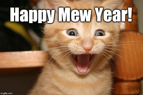 Happy Cat Kitty Smile Orange Tabby | Happy Mew Year! | image tagged in happy cat kitty smile orange tabby | made w/ Imgflip meme maker