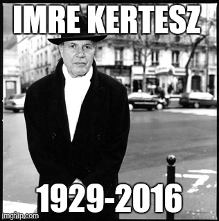 IMRE KERTESZ; 1929-2016 | image tagged in imre kertesz,died in 2016,funny,memes | made w/ Imgflip meme maker