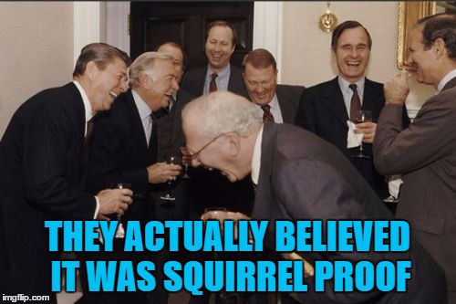 Laughing Men In Suits Meme | THEY ACTUALLY BELIEVED IT WAS SQUIRREL PROOF | image tagged in memes,laughing men in suits | made w/ Imgflip meme maker