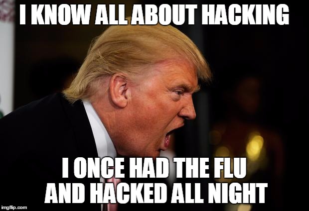 I KNOW ALL ABOUT HACKING; I ONCE HAD THE FLU AND HACKED ALL NIGHT | image tagged in politics | made w/ Imgflip meme maker
