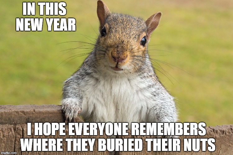 Advice giving squirrel | IN THIS NEW YEAR; I HOPE EVERYONE REMEMBERS WHERE THEY BURIED THEIR NUTS | image tagged in advice giving squirrel | made w/ Imgflip meme maker