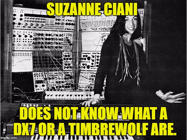 SUZANNE CIANI; DOES NOT KNOW WHAT A DX7 OR A TIMBREWOLF ARE. | image tagged in suzanne ciani with the buchla | made w/ Imgflip meme maker