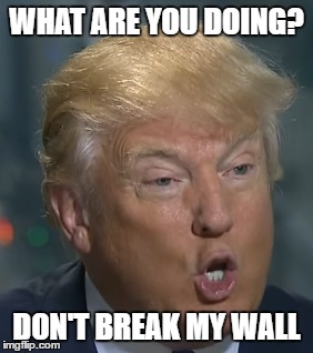 He is upset | WHAT ARE YOU DOING? DON'T BREAK MY WALL | image tagged in donald,duck,trump,wall,funny,upset | made w/ Imgflip meme maker