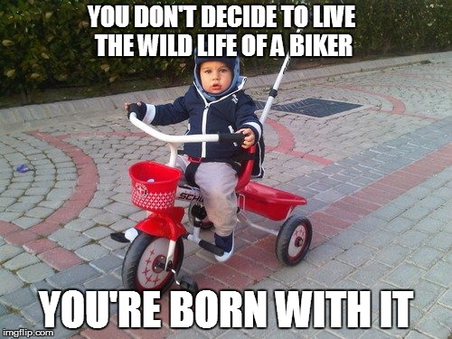 YOU DON'T DECIDE TO LIVE THE WILD LIFE OF A BIKER; YOU'RE BORN WITH IT | image tagged in harley davidson starts them young | made w/ Imgflip meme maker