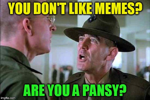 YOU DON'T LIKE MEMES? ARE YOU A PANSY? | made w/ Imgflip meme maker