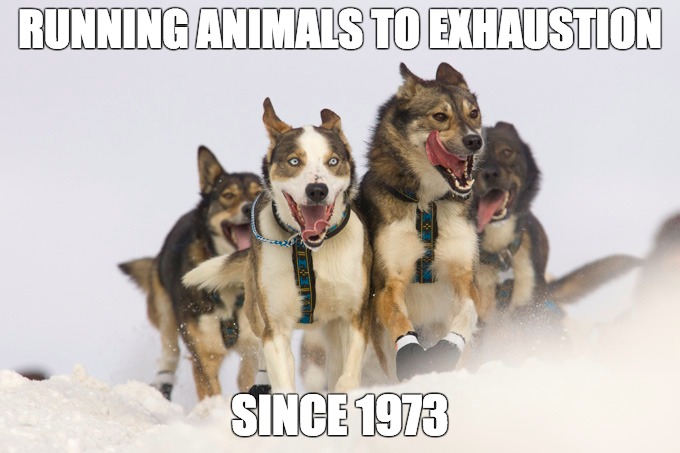 RUNNING ANIMALS TO EXHAUSTION; SINCE 1973 | made w/ Imgflip meme maker