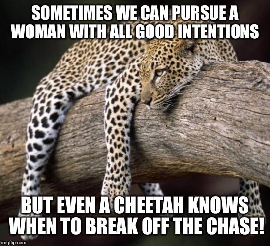 cheetah | SOMETIMES WE CAN PURSUE A WOMAN WITH ALL GOOD INTENTIONS; BUT EVEN A CHEETAH KNOWS WHEN TO BREAK OFF THE CHASE! | image tagged in cheetah | made w/ Imgflip meme maker