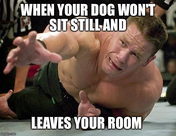 john cena | WHEN YOUR DOG WON'T SIT STILL AND; LEAVES YOUR ROOM | image tagged in john cena | made w/ Imgflip meme maker