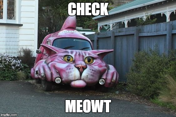 When I seen this cat car I just had too | CHECK; MEOWT | image tagged in silly | made w/ Imgflip meme maker