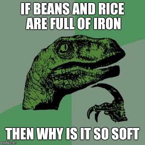 Philosoraptor | IF BEANS AND RICE ARE FULL OF IRON; THEN WHY IS IT SO SOFT | image tagged in memes,philosoraptor | made w/ Imgflip meme maker