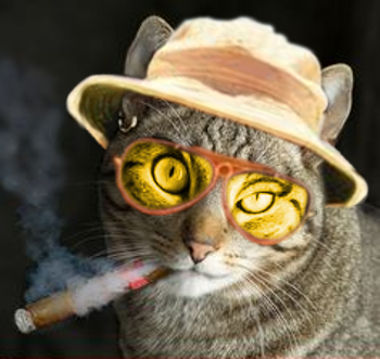 Fear and Loathing in Las Vegas Cat Country Blank Meme Template