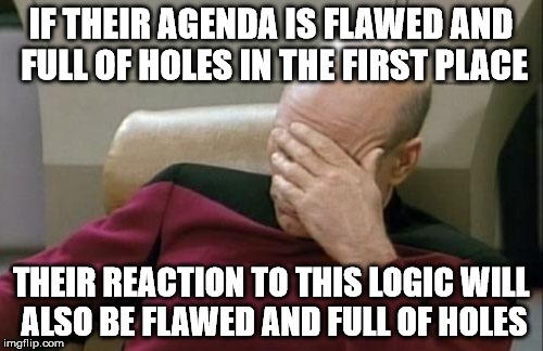 Captain Picard Facepalm Meme | IF THEIR AGENDA IS FLAWED AND FULL OF HOLES IN THE FIRST PLACE THEIR REACTION TO THIS LOGIC WILL ALSO BE FLAWED AND FULL OF HOLES | image tagged in memes,captain picard facepalm | made w/ Imgflip meme maker
