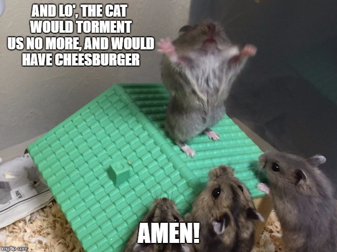 AND LO', THE CAT WOULD TORMENT US NO MORE, AND WOULD HAVE CHEESBURGER; AMEN! | made w/ Imgflip meme maker