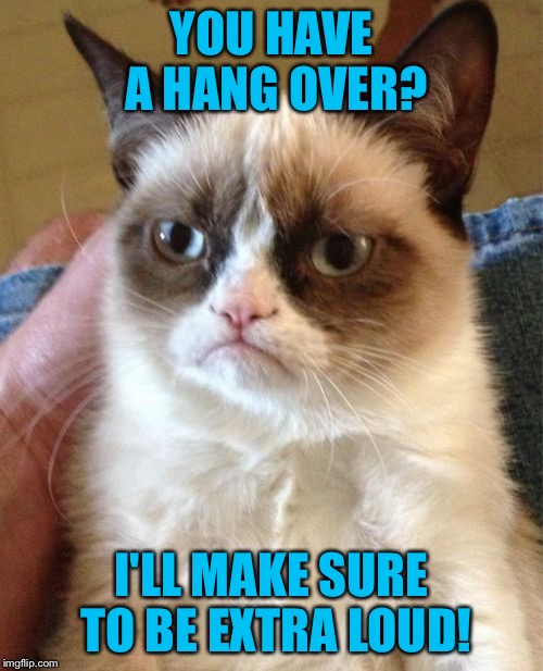 You have a hang over | YOU HAVE A HANG OVER? I'LL MAKE SURE TO BE EXTRA LOUD! | image tagged in memes,grumpy cat | made w/ Imgflip meme maker