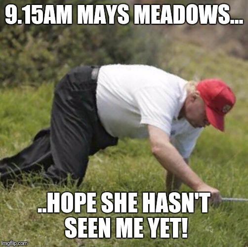 trump crawling | 9.15AM MAYS MEADOWS... ..HOPE SHE HASN'T SEEN ME YET! | image tagged in trump crawling | made w/ Imgflip meme maker