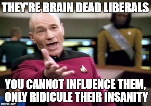 Picard Wtf Meme | THEY'RE BRAIN DEAD LIBERALS YOU CANNOT INFLUENCE THEM, ONLY RIDICULE THEIR INSANITY | image tagged in memes,picard wtf | made w/ Imgflip meme maker