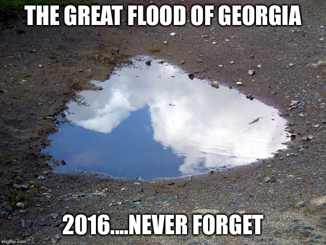 THE GREAT FLOOD OF GEORGIA; 2016....NEVER FORGET | image tagged in memes,funny meme,never forget,flood,georgia,atlanta | made w/ Imgflip meme maker