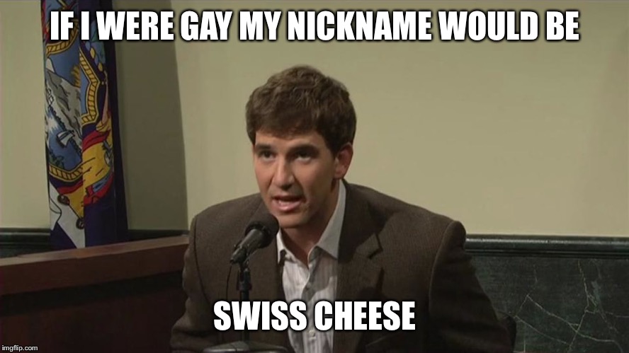 Straight truth | IF I WERE GAY MY NICKNAME WOULD BE; SWISS CHEESE | image tagged in browser history,funny,funny meme,laugh,the truth teller | made w/ Imgflip meme maker