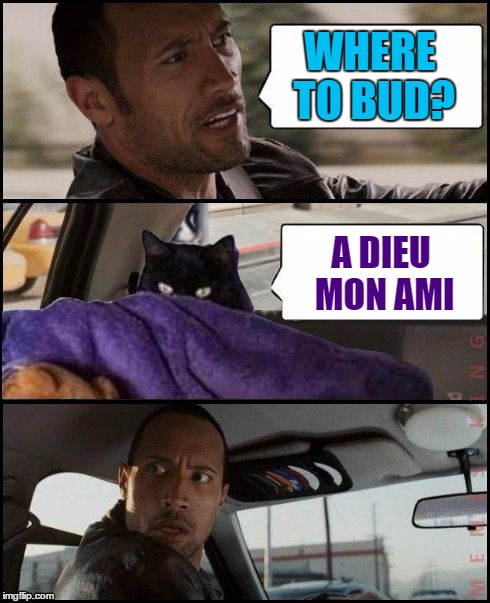 Farewell to taclivE | WHERE TO BUD? A DIEU MON AMI | image tagged in the rock driving evil cat,memes,taclive,imgflip | made w/ Imgflip meme maker