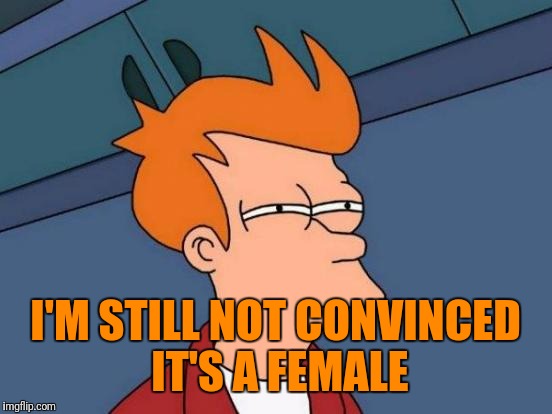 Futurama Fry Meme | I'M STILL NOT CONVINCED IT'S A FEMALE | image tagged in memes,futurama fry | made w/ Imgflip meme maker