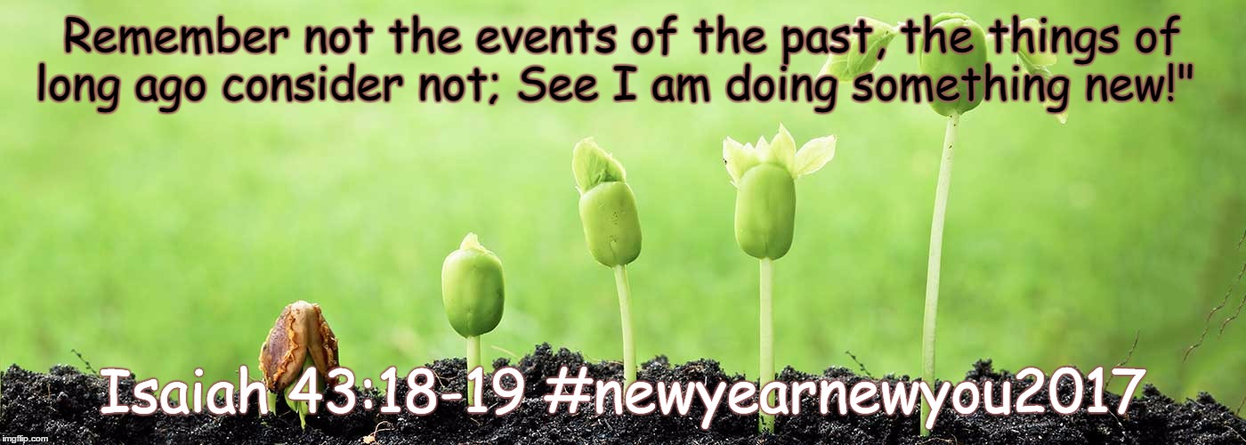 Remember not the events of the past, the things of long ago consider not; See I am doing something new!"; Isaiah 43:18-19
#newyearnewyou2017 | image tagged in new years 2017 | made w/ Imgflip meme maker