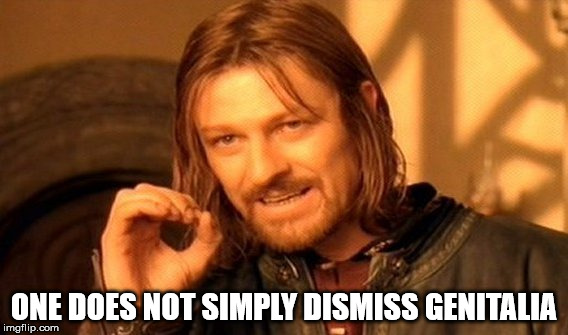 One Does Not Simply Meme | ONE DOES NOT SIMPLY DISMISS GENITALIA | image tagged in memes,one does not simply | made w/ Imgflip meme maker