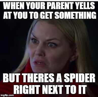 WHY DO THEY DO THAT TO ME!!!! | WHEN YOUR PARENT YELLS AT YOU TO GET SOMETHING; BUT THERES A SPIDER RIGHT NEXT TO IT | image tagged in once upon a time,spiders,parents | made w/ Imgflip meme maker