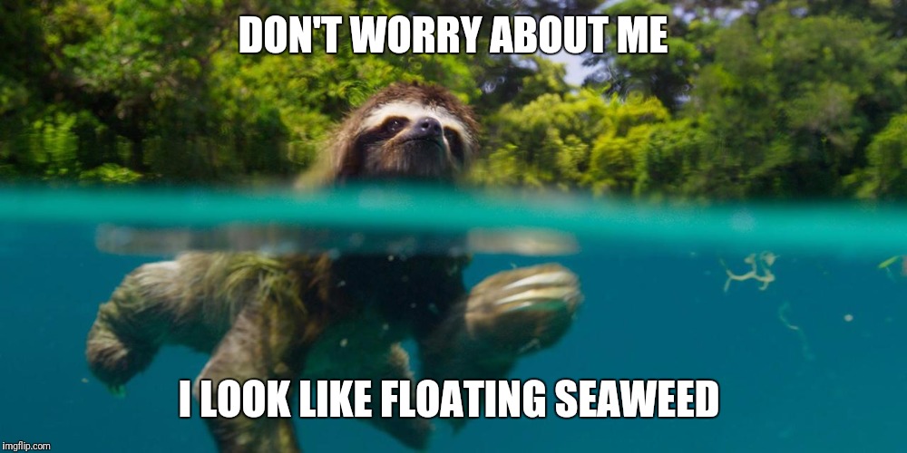 DON'T WORRY ABOUT ME I LOOK LIKE FLOATING SEAWEED | made w/ Imgflip meme maker
