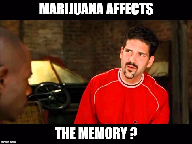 Marijuana Affects Memory | MARIJUANA AFFECTS; THE MEMORY ? | image tagged in marijuana affects memory | made w/ Imgflip meme maker