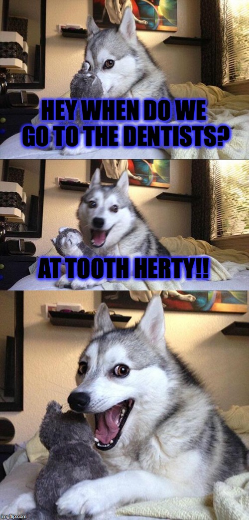 Bad Pun Dog | HEY WHEN DO WE GO TO THE DENTISTS? AT TOOTH HERTY!! | image tagged in memes,bad pun dog | made w/ Imgflip meme maker