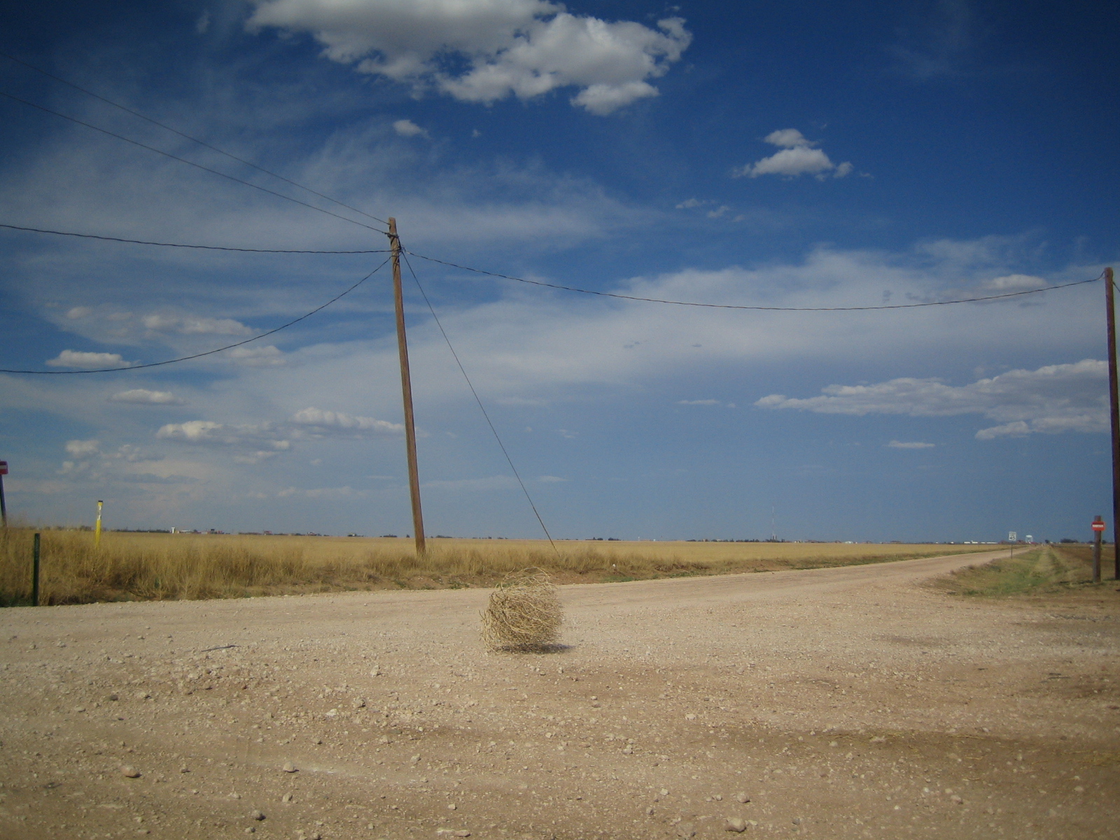 High Quality tumbleweed Blank Meme Template