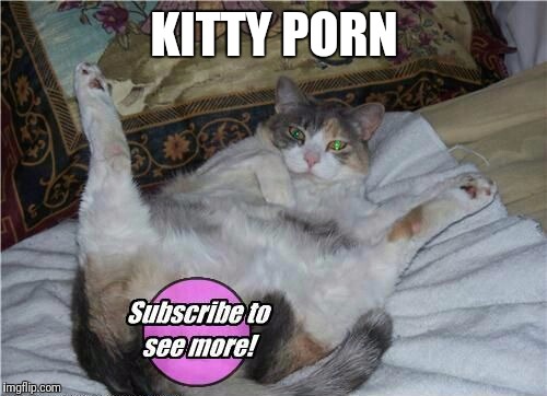 KITTY PORN | made w/ Imgflip meme maker