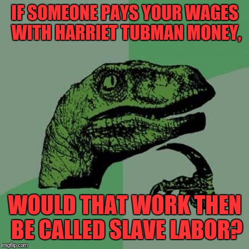 Philosoraptor Meme | IF SOMEONE PAYS YOUR WAGES WITH HARRIET TUBMAN MONEY, WOULD THAT WORK THEN BE CALLED SLAVE LABOR? | image tagged in memes,philosoraptor | made w/ Imgflip meme maker