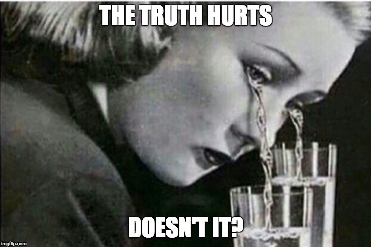 Truth Hurts | THE TRUTH HURTS; DOESN'T IT? | image tagged in truth,truth hurts,haters,crying,tears | made w/ Imgflip meme maker