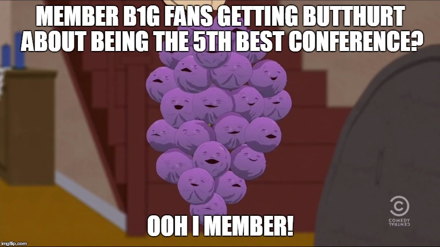 Member Berries | MEMBER B1G FANS GETTING BUTTHURT ABOUT BEING THE 5TH BEST CONFERENCE? OOH I MEMBER! | image tagged in memes,member berries | made w/ Imgflip meme maker