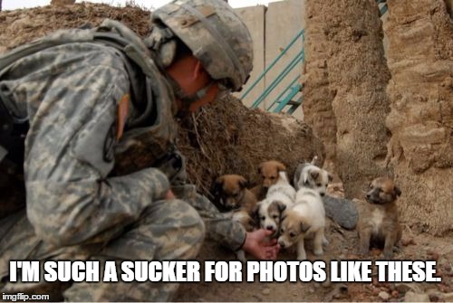Why I Love our Military | I'M SUCH A SUCKER FOR PHOTOS LIKE THESE. | image tagged in i love our military,cute,puppies | made w/ Imgflip meme maker