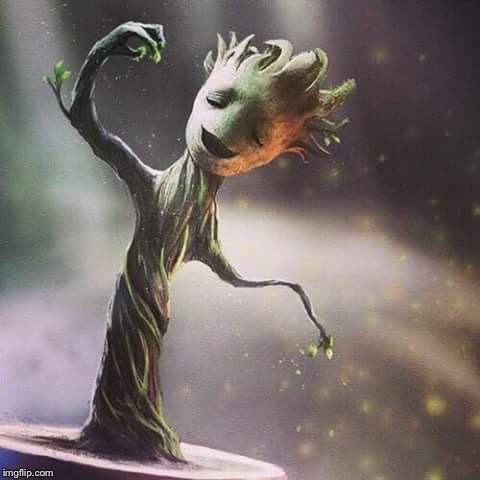 image tagged in pretty groot | made w/ Imgflip meme maker