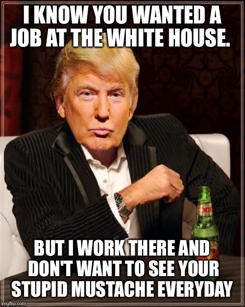 Maybe he should have grown a beard to go with that mustache. #coolermommylovesbeards |  I KNOW YOU WANTED A JOB AT THE WHITE HOUSE. BUT I WORK THERE AND DON'T WANT TO SEE YOUR STUPID MUSTACHE EVERYDAY | image tagged in trump most interesting man in the world | made w/ Imgflip meme maker
