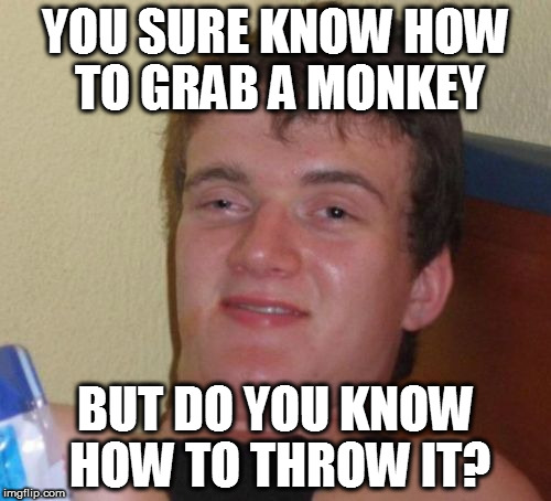 What is this supposed to mean???? | YOU SURE KNOW HOW TO GRAB A MONKEY; BUT DO YOU KNOW HOW TO THROW IT? | image tagged in memes,10 guy | made w/ Imgflip meme maker