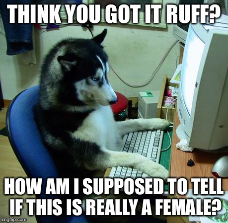 THINK YOU GOT IT RUFF? HOW AM I SUPPOSED TO TELL IF THIS IS REALLY A FEMALE? | made w/ Imgflip meme maker