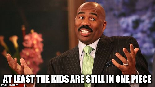 Steve Harvey Meme | AT LEAST THE KIDS ARE STILL IN ONE PIECE | image tagged in memes,steve harvey | made w/ Imgflip meme maker