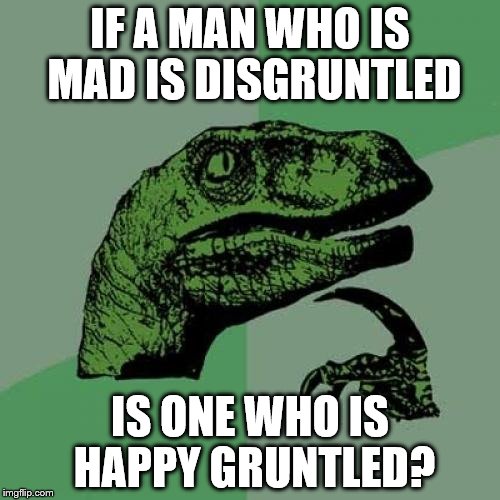 English! Gotta love it! | IF A MAN WHO IS MAD IS DISGRUNTLED; IS ONE WHO IS HAPPY GRUNTLED? | image tagged in memes,philosoraptor | made w/ Imgflip meme maker