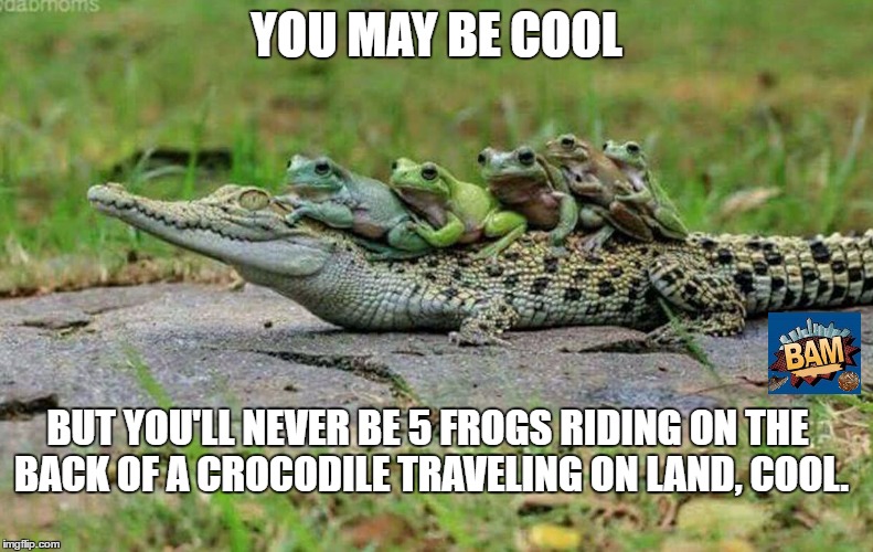 Cool | YOU MAY BE COOL; BUT YOU'LL NEVER BE 5 FROGS RIDING ON THE BACK OF A CROCODILE TRAVELING ON LAND, COOL. | image tagged in cool | made w/ Imgflip meme maker