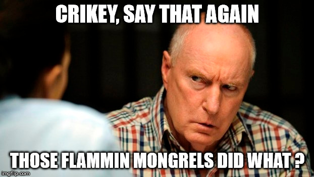 CRIKEY, SAY THAT AGAIN THOSE FLAMMIN MONGRELS DID WHAT ? | made w/ Imgflip meme maker