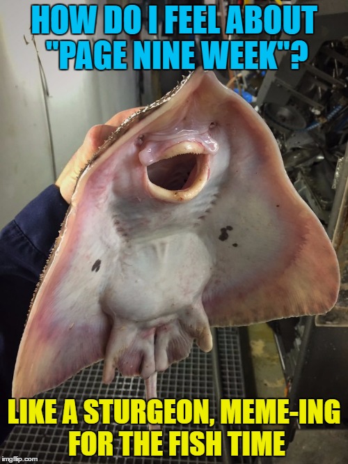 Page Nine Week - starts next Monday! | HOW DO I FEEL ABOUT "PAGE NINE WEEK"? LIKE A STURGEON, MEME-ING FOR THE FISH TIME | image tagged in what the fish,memes,page 9 party,page 9,page nine | made w/ Imgflip meme maker