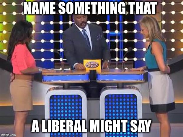 Family feud  | NAME SOMETHING THAT; A LIBERAL MIGHT SAY | image tagged in family feud,liberal | made w/ Imgflip meme maker