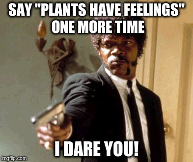 Say "plants have feelings" | SAY "PLANTS HAVE FEELINGS" ONE MORE TIME; I DARE YOU! | image tagged in memes,say that again i dare you,vegan,plants have feelings | made w/ Imgflip meme maker