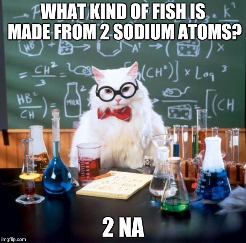 Chemistry Cat | WHAT KIND OF FISH IS MADE FROM 2 SODIUM ATOMS? 2 NA | image tagged in memes,chemistry cat,bad pun | made w/ Imgflip meme maker